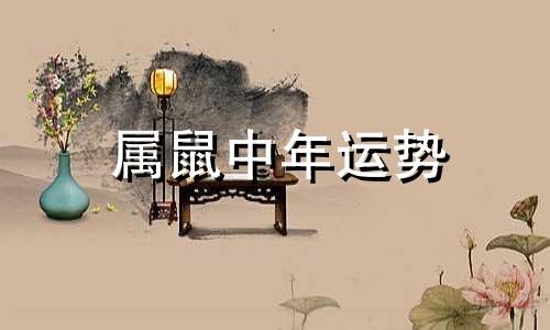 属鼠中年运势 属鼠人在鼠年运势如何