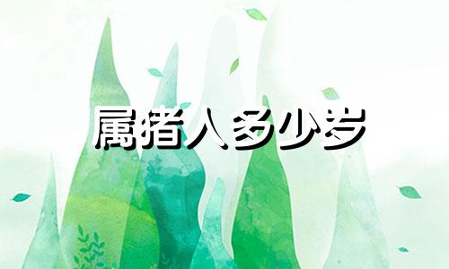 属猪人多少岁 属猪的人多大年纪