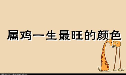 属鸡一生最旺的颜色 属鸡买车大忌三种颜色是什么