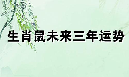 生肖鼠未来三年运势 鼠未来几年运势
