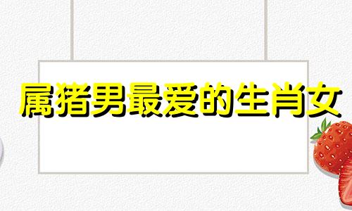 属猪男最爱的生肖女 属猪男适合什么属性女?