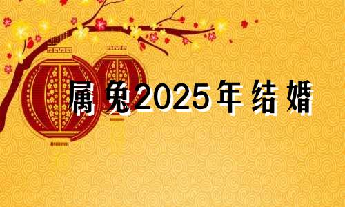 属兔2025年结婚 属兔人2025年运势及财运