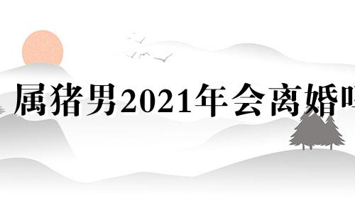 属猪男2021年会离婚吗 属猪男2021感情