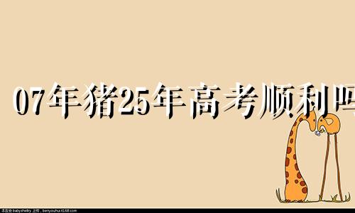 07年猪25年高考顺利吗 2007年属猪在2025年学业怎样
