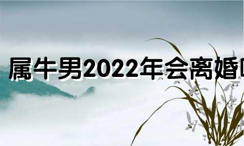 属牛男2022年会离婚吗 2020属牛男人婚姻