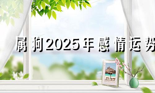 属狗2025年感情运势 属狗2025年属狗每月运势和运