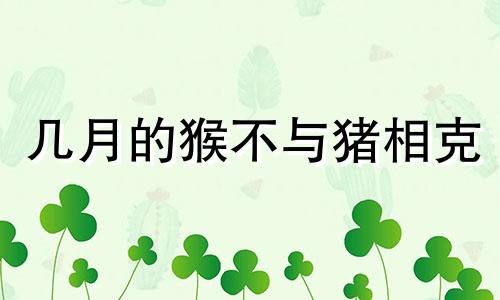 几月的猴不与猪相克 92猴95猪结婚了咋办