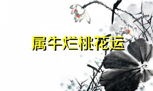 属牛烂桃花运 2021年属牛犯桃花