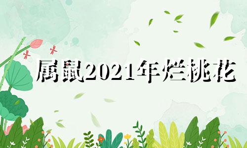 属鼠2021年烂桃花 属鼠犯桃花怎么办