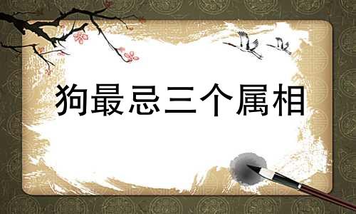 狗最忌三个属相 狗的最佳配种时机
