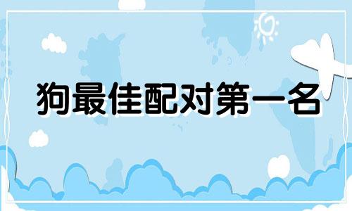 狗最佳配对第一名 属兔男人最佳妻子