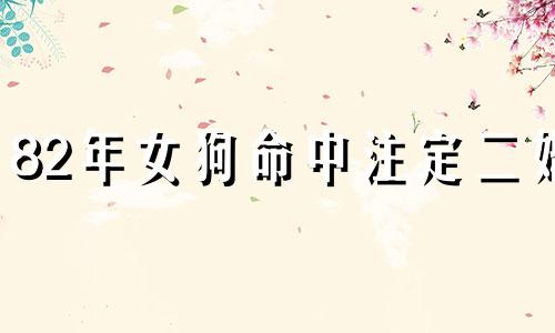 82年女狗命中注定二婚 82年狗2025年必离婚