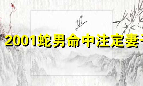 2001蛇男命中注定妻子 2001年蛇男2022年运势完整版