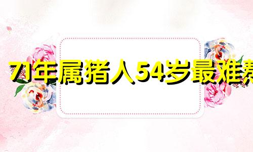 71年属猪人54岁最难熬 2025年71年猪女有大难吗