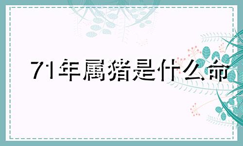71年属猪是什么命 五行属什么