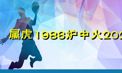 属虎1986炉中火2025年 属虎人2025彻底大爆发