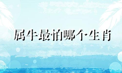 属牛最怕哪个生肖 属牛怕什么生肖 属牛人的克星是谁