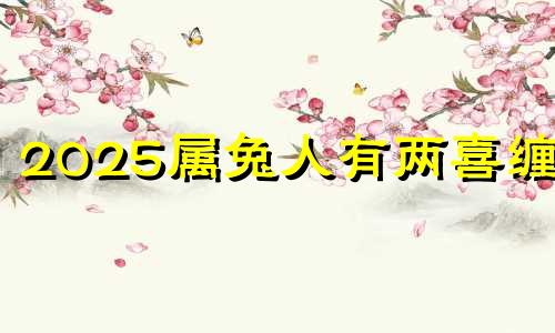 2025属兔人有两喜缠身 2025属兔人躲不掉的事