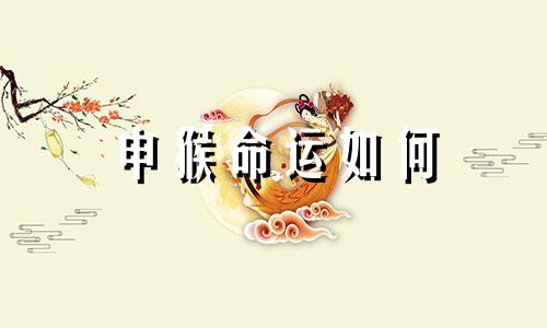 申猴命运如何 申猴好吗