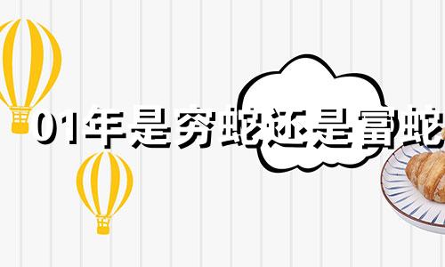 01年是穷蛇还是富蛇 属蛇人最大靠山是谁
