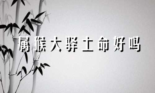 属猴大驿土命好吗 土猴大驿土