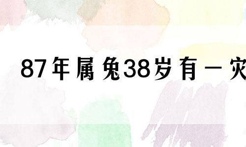 87年属兔38岁有一灾 属兔的今年要离开三个人