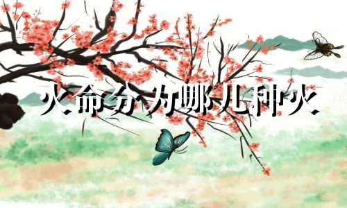 火命分为哪几种火 火命分为哪几种火怎么划分