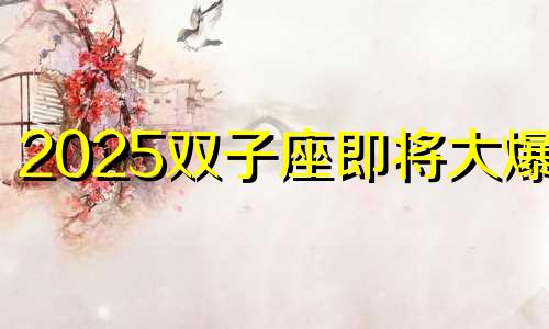 2025双子座即将大爆发 双子座二零二零年运势
