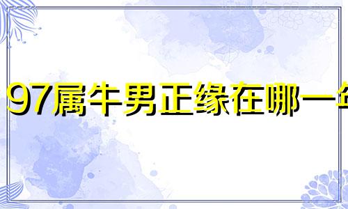 97属牛男正缘在哪一年 97男牛命中注定正缘