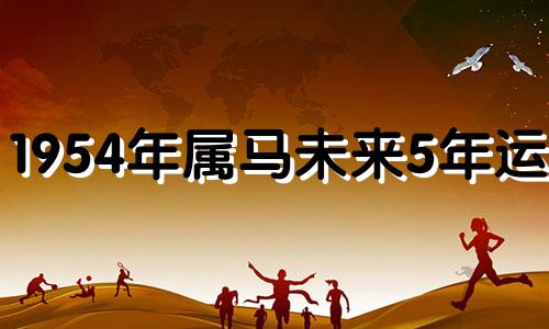 1954年属马未来5年运势 1954年属马的人以后的命运
