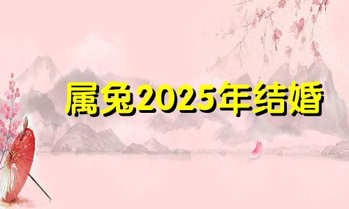属兔2025年结婚 2025年属兔百年难遇