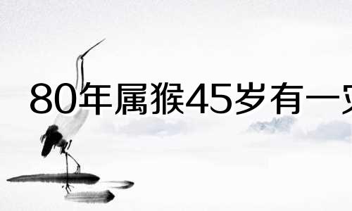80年属猴45岁有一灾 1981属鸡石榴木命最忌讳什么