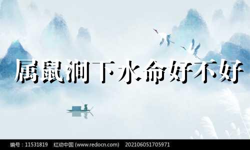 属鼠涧下水命好不好 属鼠的涧下水命的男孩命好吗