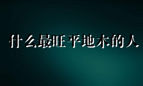 什么最旺平地木的人 平地木的命运
