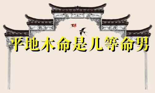 平地木命是几等命男 平地木命生在几月最好