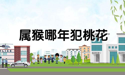 属猴哪年犯桃花 属猴的人一生中哪几年犯太岁
