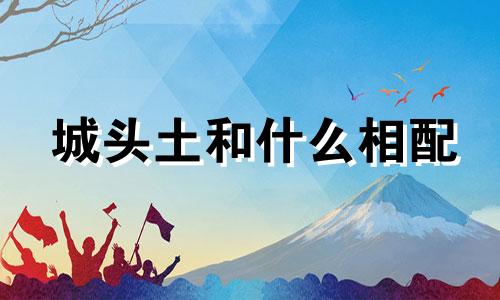 城头土和什么相配 城头土和什么命相克
