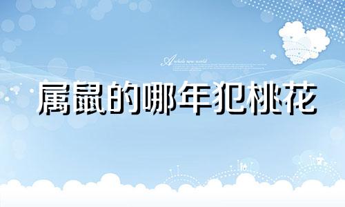 属鼠的哪年犯桃花 属鼠的什么时候桃花运最好