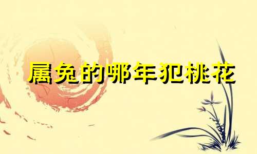 属兔的哪年犯桃花 属兔人哪几年犯太岁