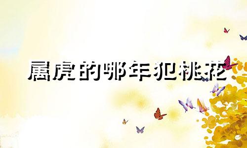 属虎的哪年犯桃花 属虎的人哪几年犯太岁