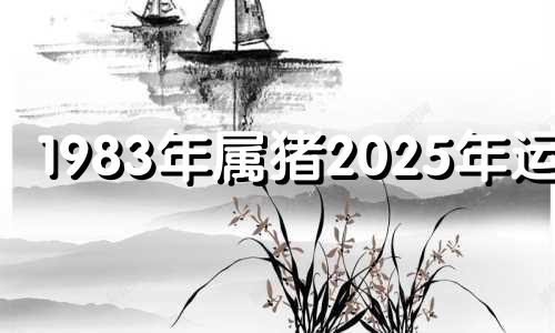 1983年属猪2025年运势 1983年生人2023年猪人运程与运势