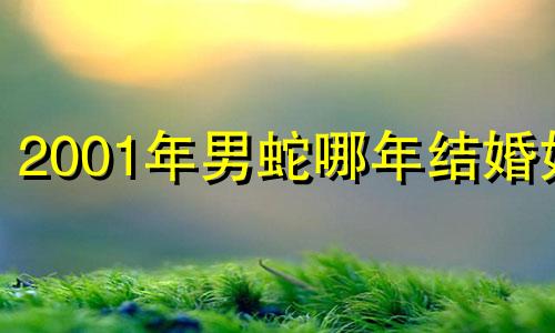 2001年男蛇哪年结婚好 2025属蛇正缘出现时间