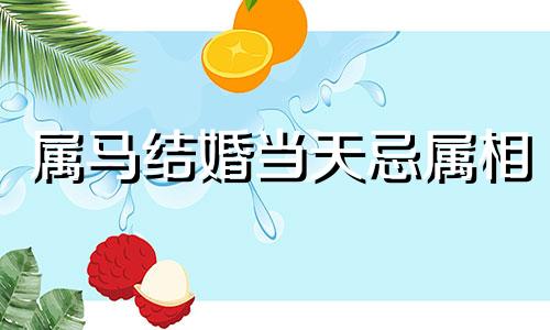 属马结婚当天忌属相 属马的结婚忌什么