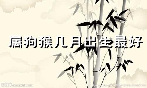 属狗猴几月出生最好 属狗人命里最好是几月