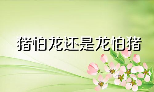 猪怕龙还是龙怕猪 属龙和属猪的相冲吗婚姻