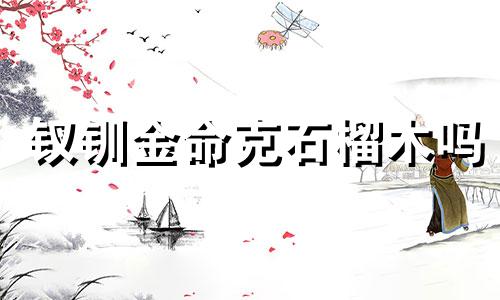 钗钏金命克石榴木吗 钗钏金石榴木怎么化解