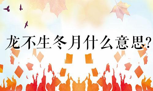 龙不生冬月什么意思? 龙不生龙