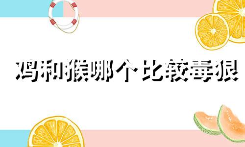 鸡和猴哪个比较毒狠 鸡猴合不合