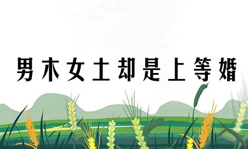 男木女土却是上等婚 土命的人和木命的人