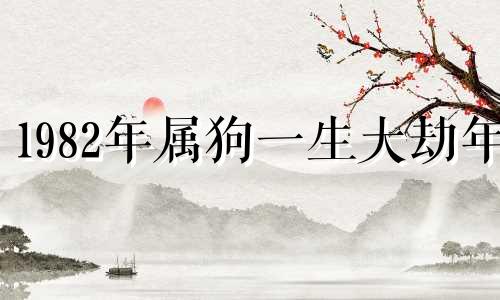 1982年属狗一生大劫年 及化解方法